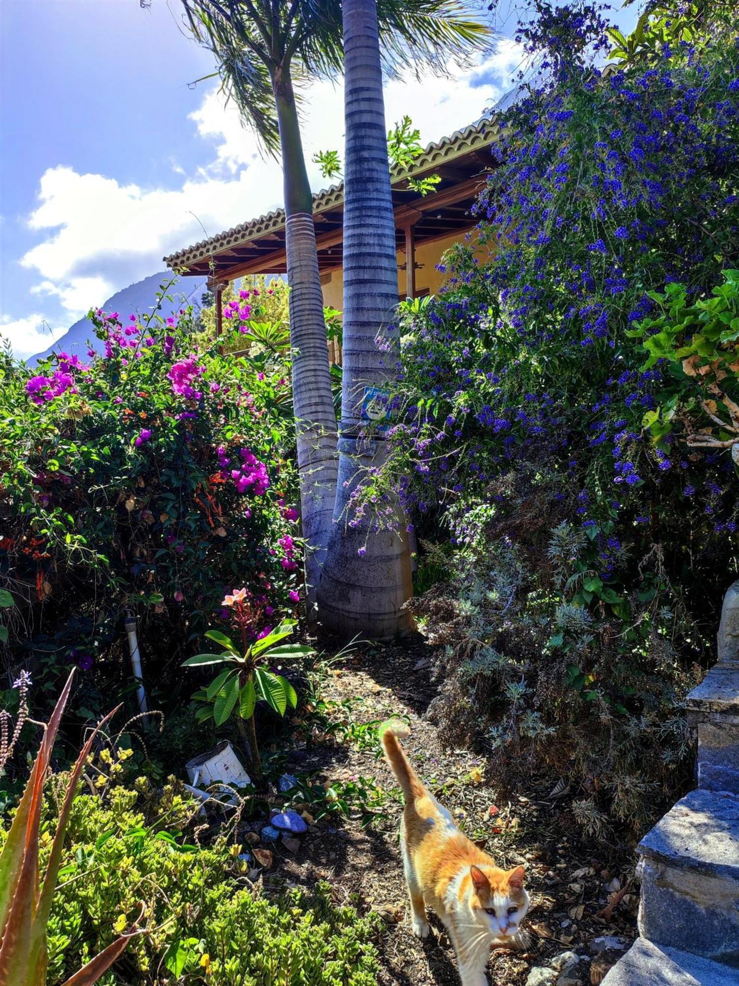 The Cradle Of The Moon, Rivendell Hotel El Paso Luaran gambar